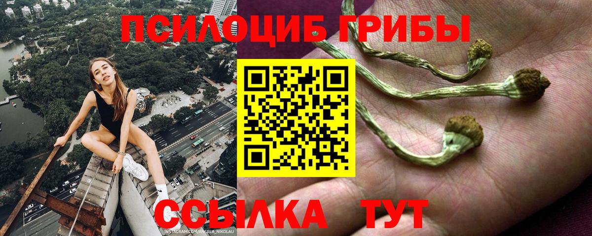 наркошоп  Псилоцибиновые грибы MAGIC MUSHROOMS  Джанкой  Вход с VPN  Псилоцибиновые грибы ЛСД 